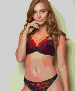 Red Lace Lingerie Set